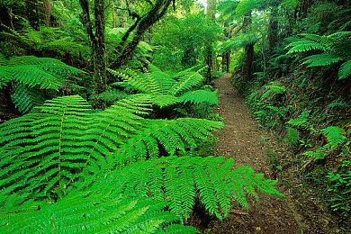 《星刃》女主有物理抖动效果：很自然的表现